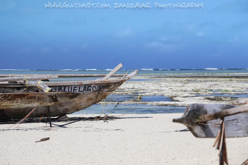 Hotel Albatross Ocean View Dongwe Esterno foto