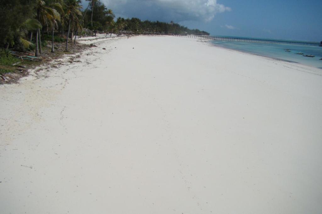 Hotel Albatross Ocean View Dongwe Esterno foto