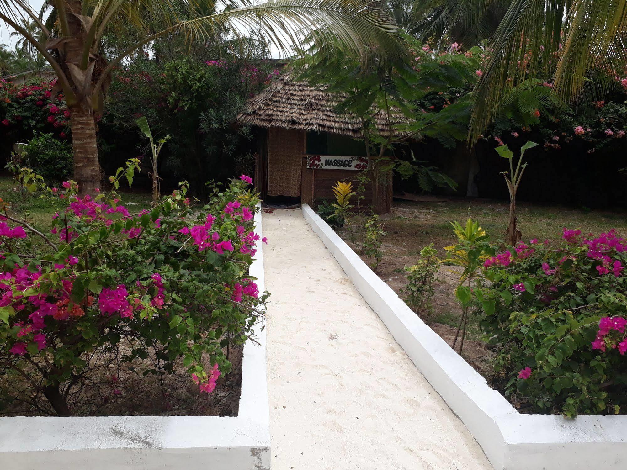 Hotel Albatross Ocean View Dongwe Esterno foto