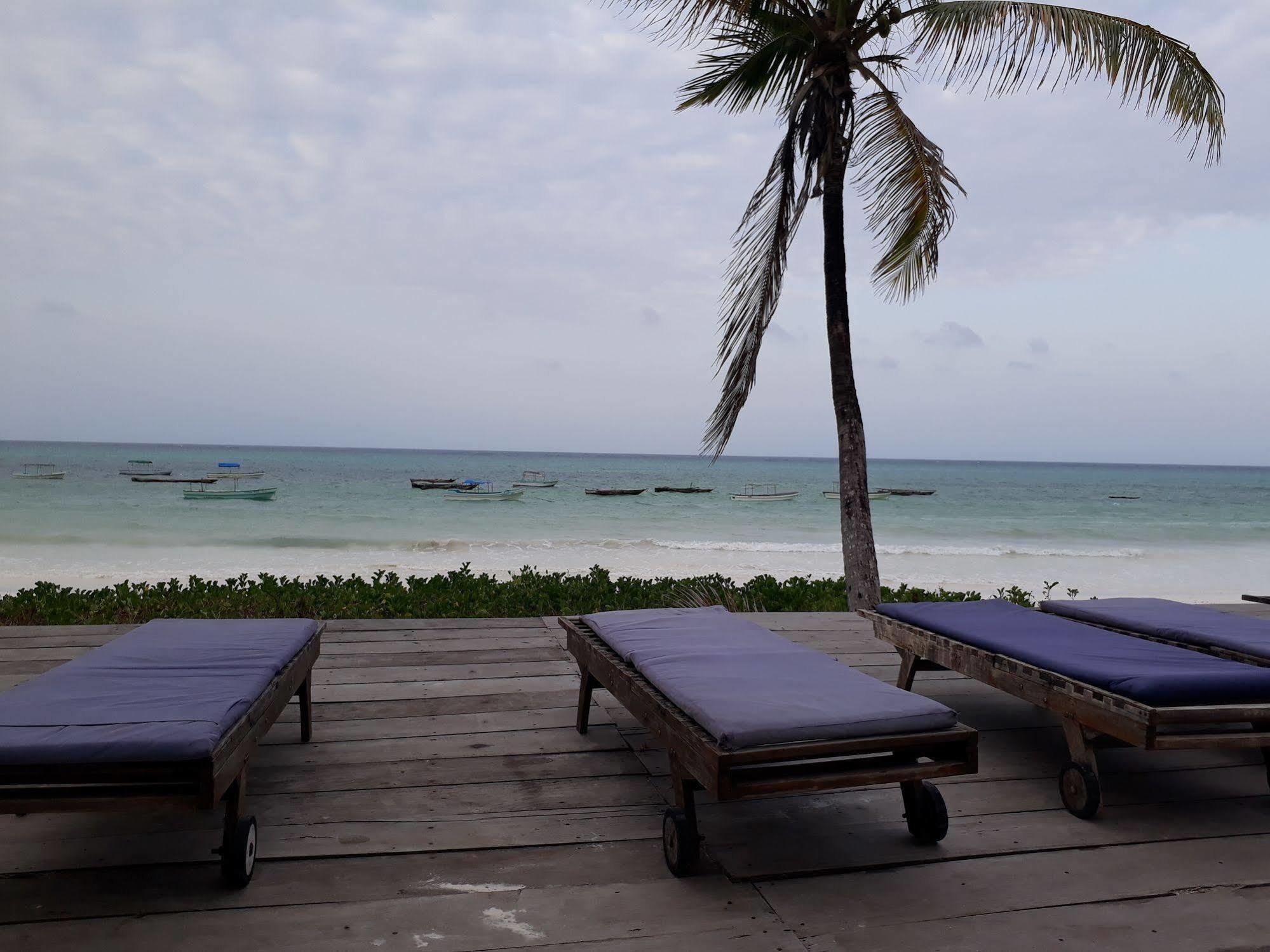 Hotel Albatross Ocean View Dongwe Esterno foto