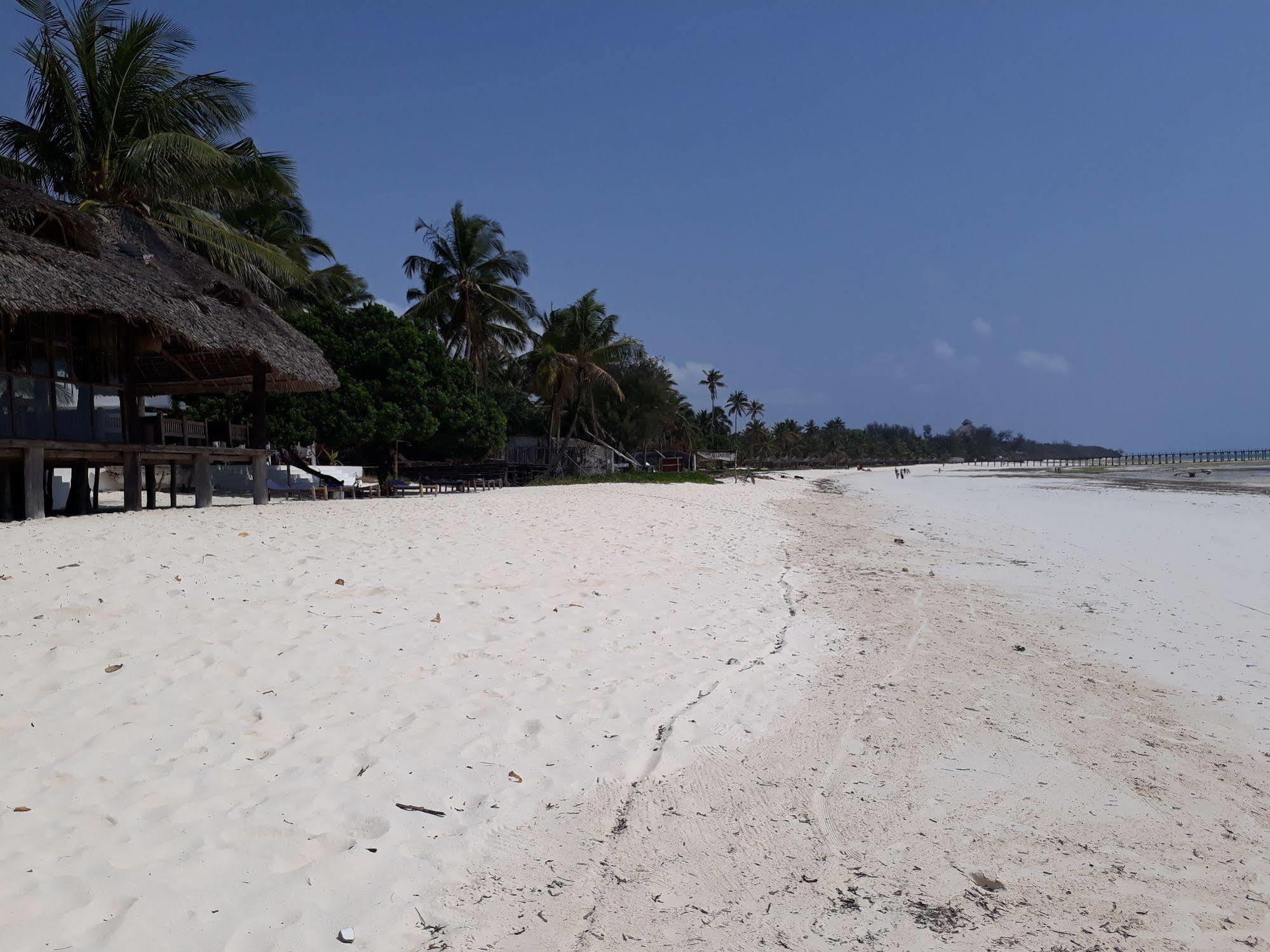 Hotel Albatross Ocean View Dongwe Esterno foto
