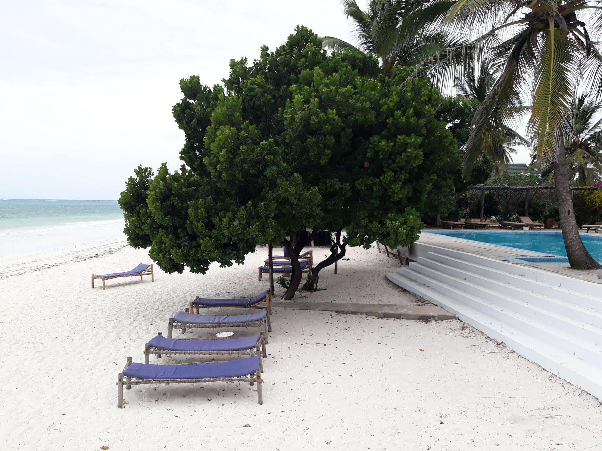 Hotel Albatross Ocean View Dongwe Esterno foto
